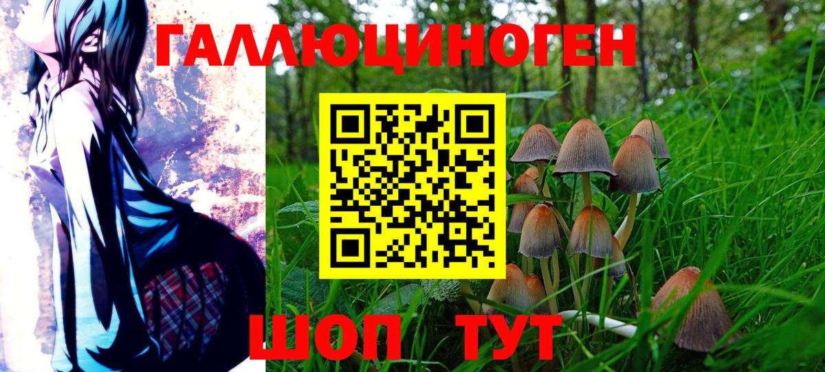 Псилоцибиновые грибы мухоморы Нижнеудинск
