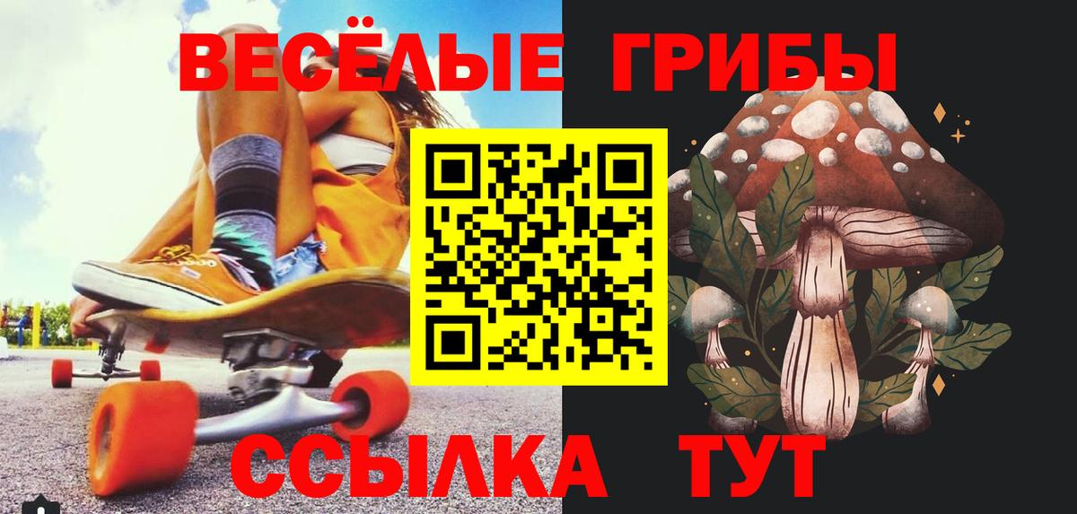 Нижнеудинск  Псилоцибиновые грибы мухоморы  Вход с VPN 